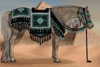 Horse Color:Chocolate Palomino