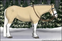 Horse Color:Silver Buckskin Roan Splash
