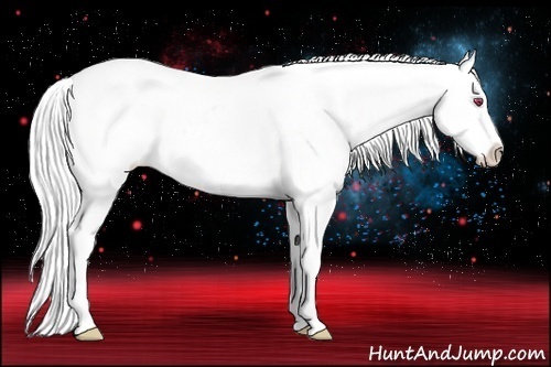 Horse Color:Silver Black Chinchilla Appaloosa 