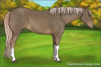 Horse Color:Chocolate Palomino