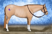 Horse Color:Bay Roan Pearl Rabicano