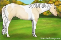 Horse Color:Silver Bay Roan Pearl Dun Tobiano Varnish