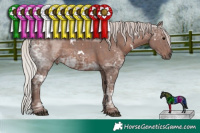 Horse Color:White Spotted Silver Black Ice Sabino 