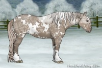 Horse Color:White Spotted Silver Grullo Ice