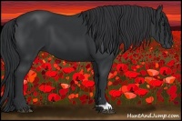Horse Color:Black 