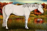Horse Color:Smoky Creme 