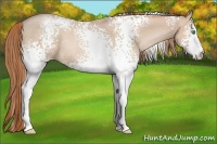 Horse Color:White Spotted Smoky Black Pearl Rabicano 