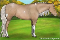 Horse Color:Silver Black Pearl Sabino Tobiano Rabicano