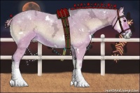 Horse Color:Watercolor White Spotted Silver Blue Onyx Ice Rabicano