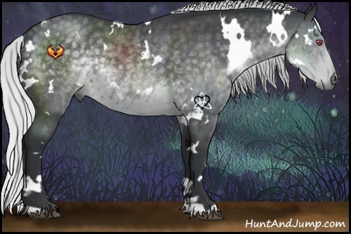 Horse Color:White Spotted Silver Black Chinchilla Rabicano 