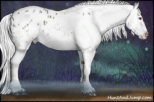 Horse Color:White Spotted Silver Black Chinchilla Splash Appaloosa Rabicano 