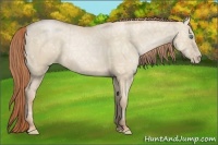 Horse Color:Smoky Grullo Ice Pearl 
