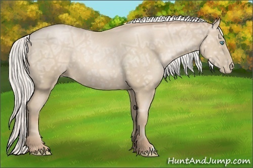 Horse Color:Silver Smoky Black Ice Pearl 