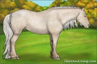 Horse Color:Silver Smoky Black Ice Pearl 