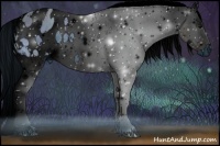 Horse Color:ERROR: UNKNOWN ANOMALY Brindle