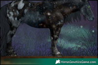 Horse Color:ERROR: UNKNOWN ANOMALY Brindle