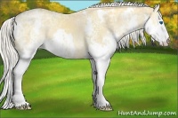 Horse Color:White Spotted Silver Classic Champagne Ice Splash 