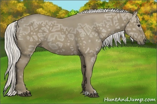 Horse Color:Silver Smoky Black Ice Sabino 