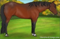 Horse Color:Brown 