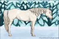 Horse Color:White Spotted Perlino Dun 