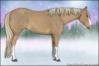 Horse Color:Palomino Roan Splash