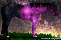 Horse Color:ERROR: UNKNOWN ANOMALY Brindle