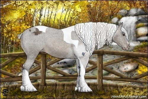 Horse Color:Silver Brown Mushroom Sabino Tobiano Varnish 