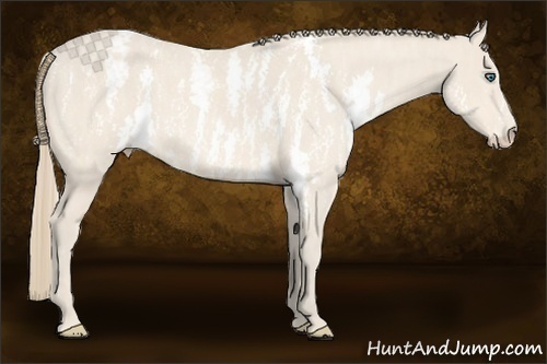 Horse Color:Perlino Sabino Brindle