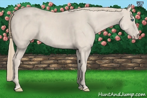 Horse Color:Smoky Creme Sabino  Brindle