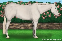 Horse Color:Smoky Creme Sabino  Brindle
