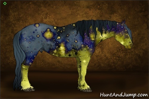 Horse Color:ERROR: UNKNOWN ANOMALY Brindle