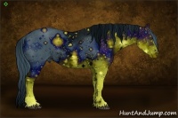 Horse Color:ERROR: UNKNOWN ANOMALY Brindle