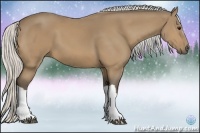 Horse Color:Silver Buckskin 