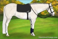 Horse Color:Cremello Sabino  Brindle