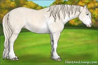 Horse Color:Perlino Sabino Brindle