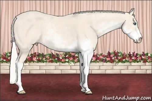 Horse Color:Cremello Sabino  Brindle