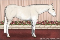 Horse Color:Cremello Sabino  Brindle