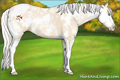 Horse Color:Silver Buckskin Pearl Sabino 
