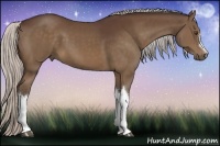 Horse Color:Silver Brown 