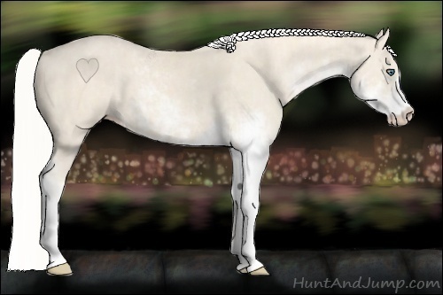 Horse Color:Cremello Sabino  Brindle