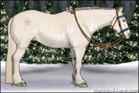 Horse Color:Perlino Sabino Brindle