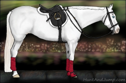 Horse Color:Perlino Dun Blanket  Brindle