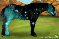 Horse Color:ERROR: UNKNOWN ANOMALY Brindle