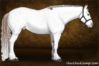 Horse Color:Brown Roan Near Leopard  Brindle