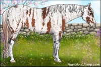 Horse Color:Brown Near Leopard  Brindle