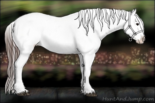 Horse Color:Brown Near Leopard Brindle