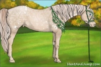 Horse Color:White Spotted Palomino Ice Pearl 