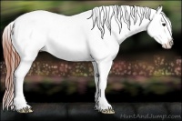 Horse Color:Brown Dun Blanket  Brindle