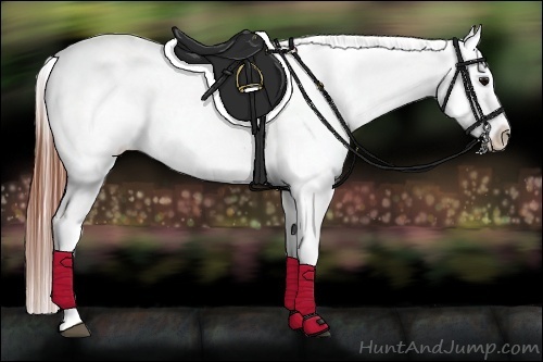 Horse Color:Brown Appaloosa  Brindle