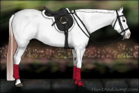 Horse Color:Brown Appaloosa Brindle